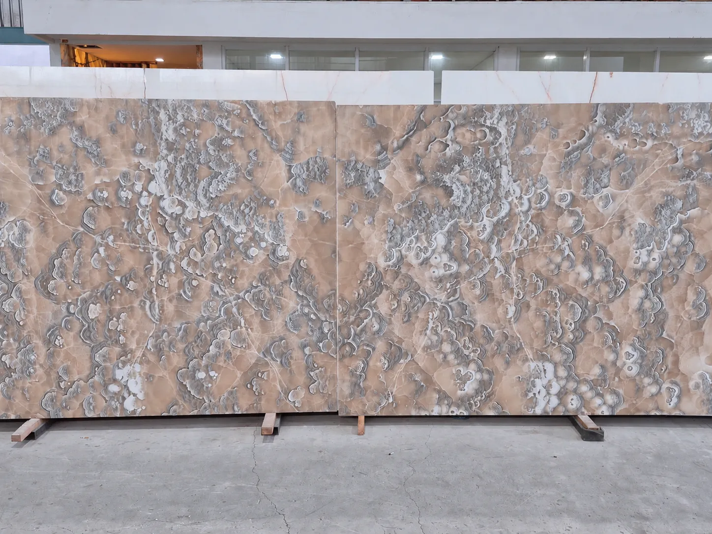 Miele Onyx